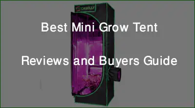 Best Mini Grow Tent