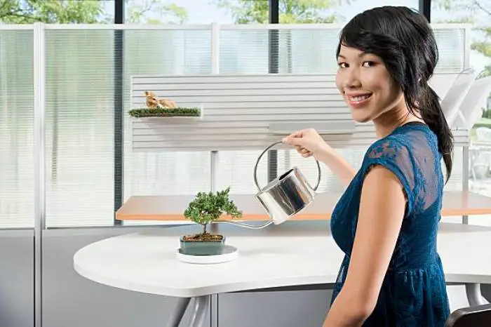 A woman in a blue dress happily water a bonsai tree on a white tabletop, showcasing the simplicity of indoor plant care.