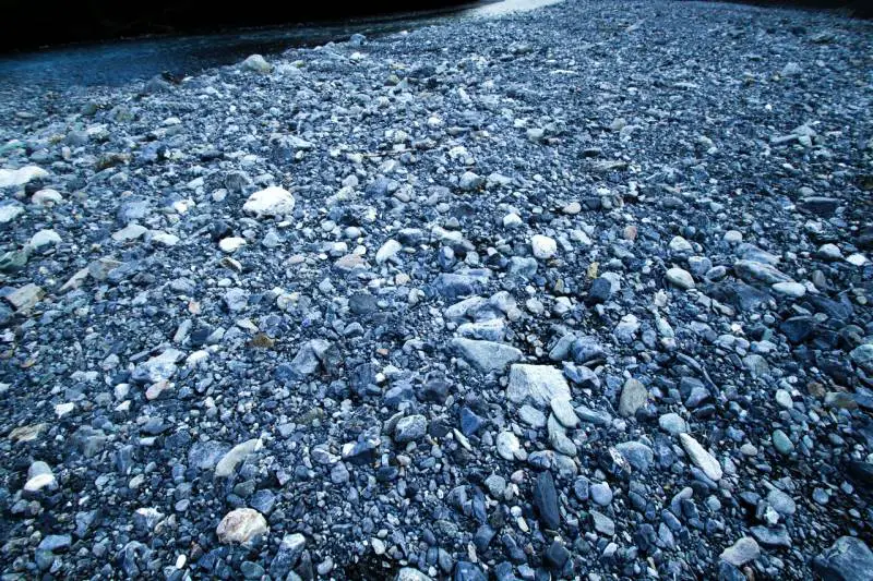A variety of gravel and small stones in shades of gray and white cover the ground, indicative of a common garden landscaping material.