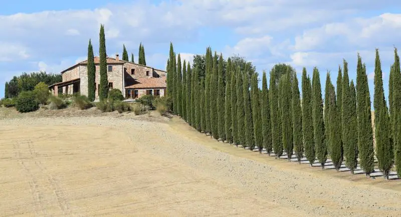 Rustic stone house with a neat row of Leyland cypress trees leading up to it, under a cloudy sky.