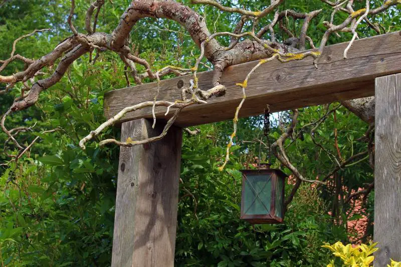 Rustic wooden garden gate topped with twisting branches, complemented by an old-fashioned lantern, evoking a charming entrance.