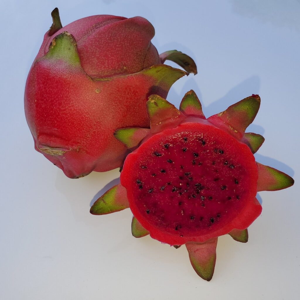 Top Dragon Fruit Varieties: A Comprehensive Guide 2 Red-skinned dragon fruit with a cut section revealing its seeded red pulp.
