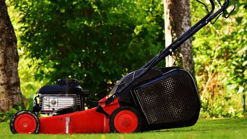 Red and black gas-powered lawn mower on grass.