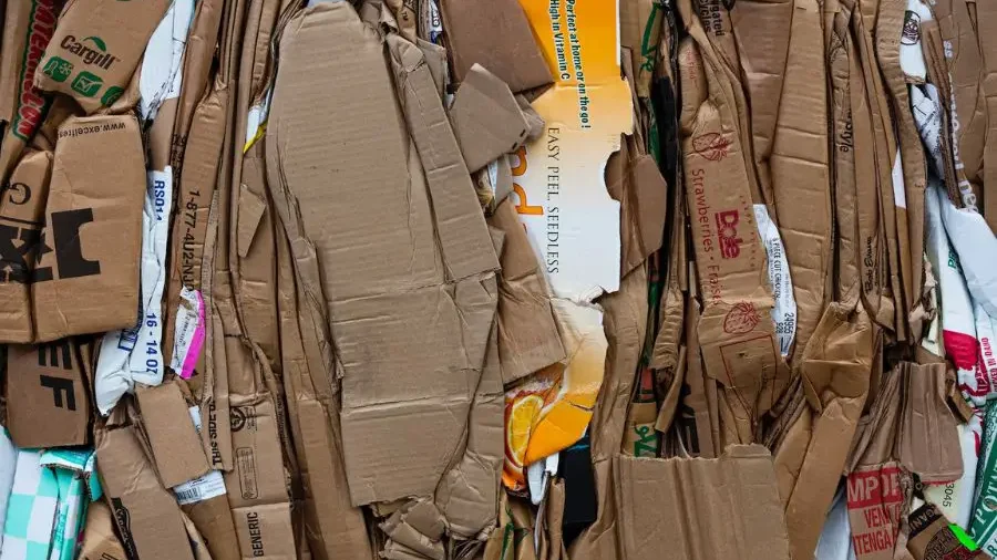 Compressed cardboard waste, potential filler for large planters.