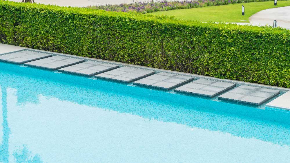 Clear pool leaf canisters installed on a pool edge, collecting debris, with a vibrant green hedge in the background.