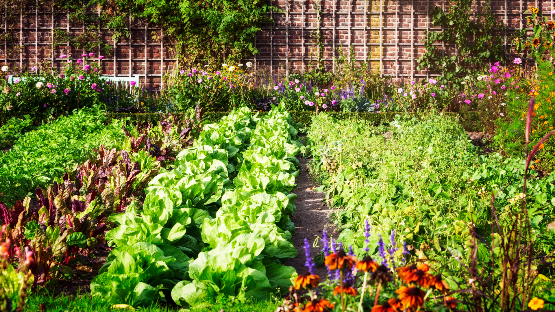 The Ultimate Vegetable Seed Starting Timeline Every Gardener Needs 1 The Ultimate Vegetable seed starting timeline 2