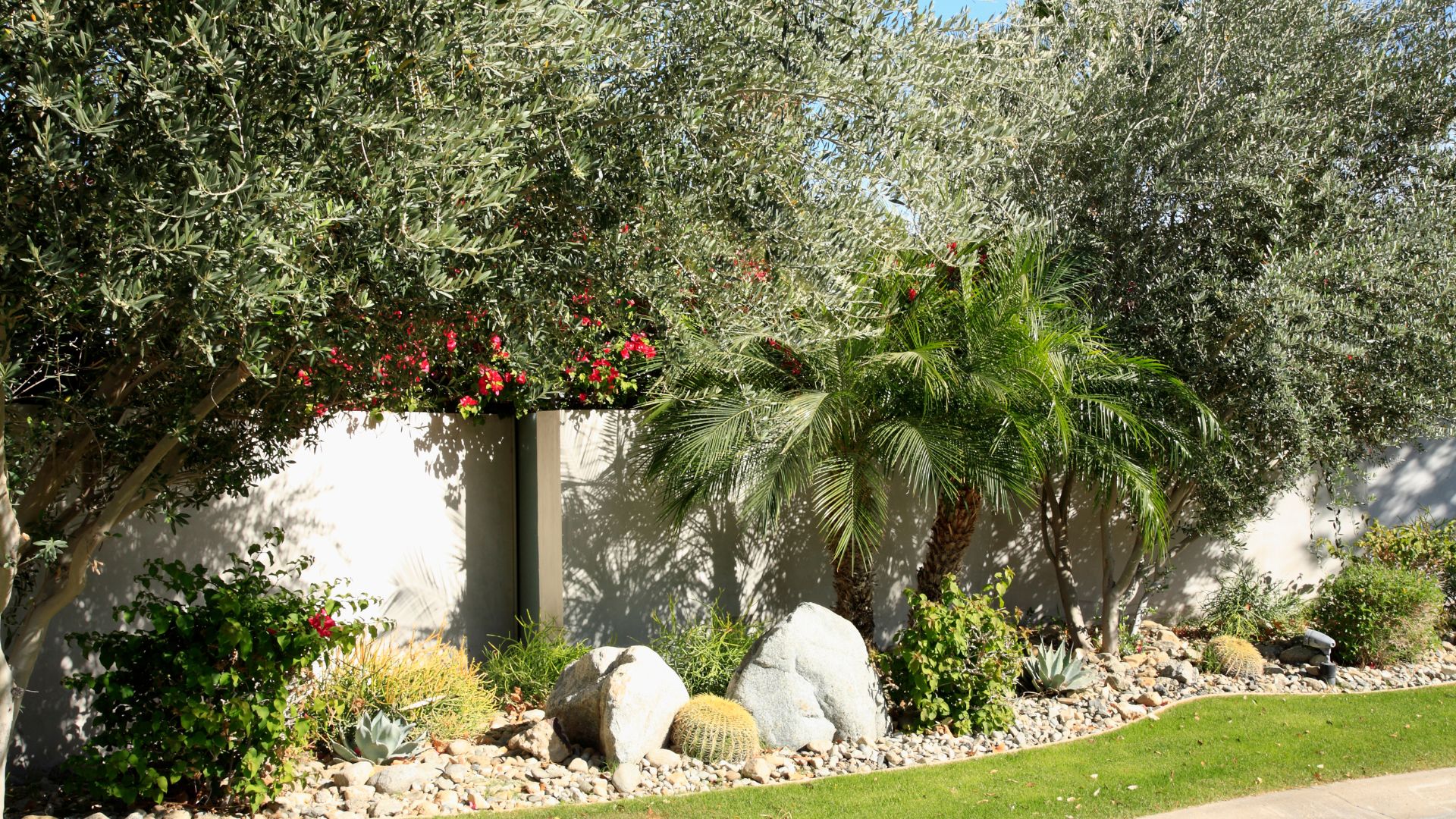 Best Drought-Tolerant Perennials for Zone 6: 2026 Water-Wise Winners 7 Drought Plants 2026